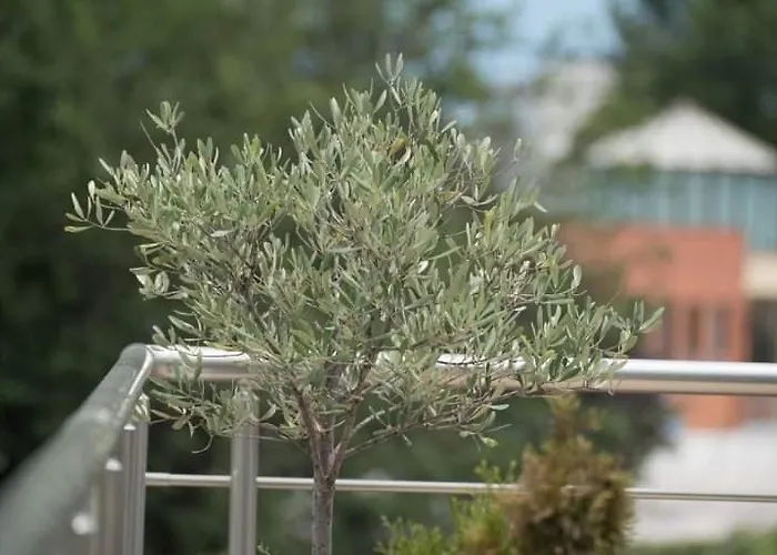 το σπίτι δίπλα από το ποτάμι